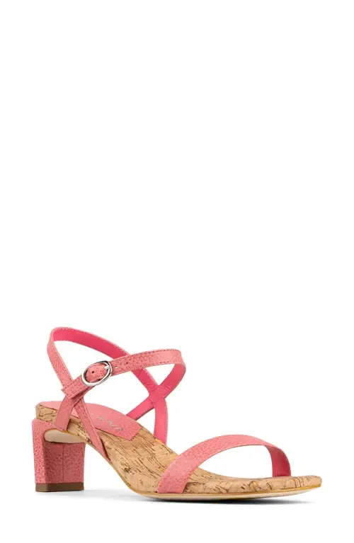 Brazi Ankle Strap Sandal by Donald Pliner