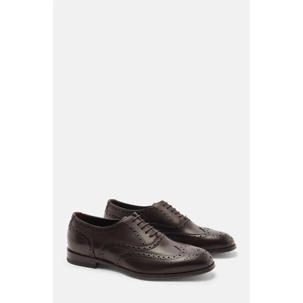 Judy Oxfords in Brown - Calf by SCAROSSO