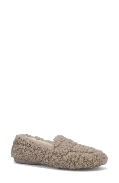 Teddy Wool Slipper by Ron White