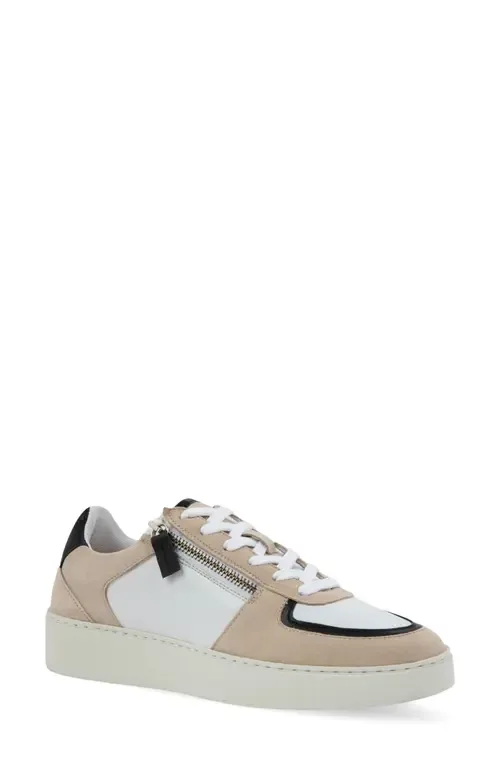 Newbury Sneaker by Naot