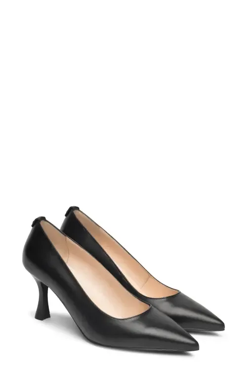 Pointed Toe Pump