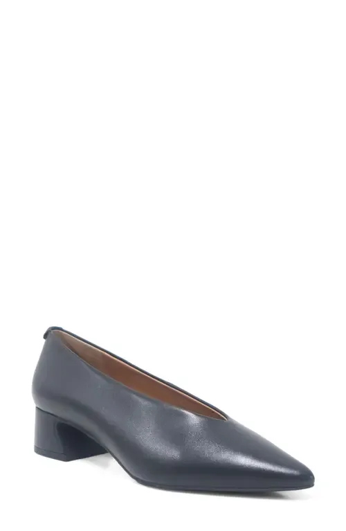 Galleria Pointed Toe Pump by Gentle Souls