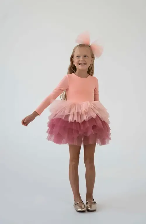 Long Sleeve Fluffy Tutu Dress by Mini Celebrities