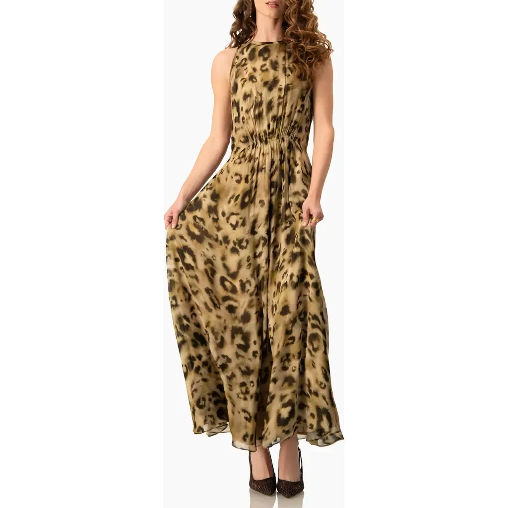 Abstract Animal Print Chiffon Sleeveless Cinched-Waist A-Line Maxi Dress by IVONNE