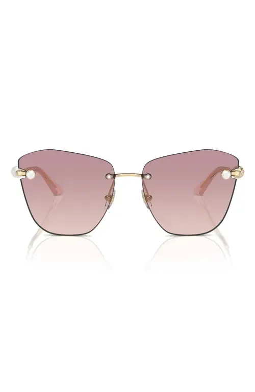 59mm Gradient Butterfly Sunglasses by Jimmy Choo