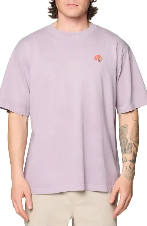 MHW Tri-Color Graphic T-Shirt by Mountain Hardwear