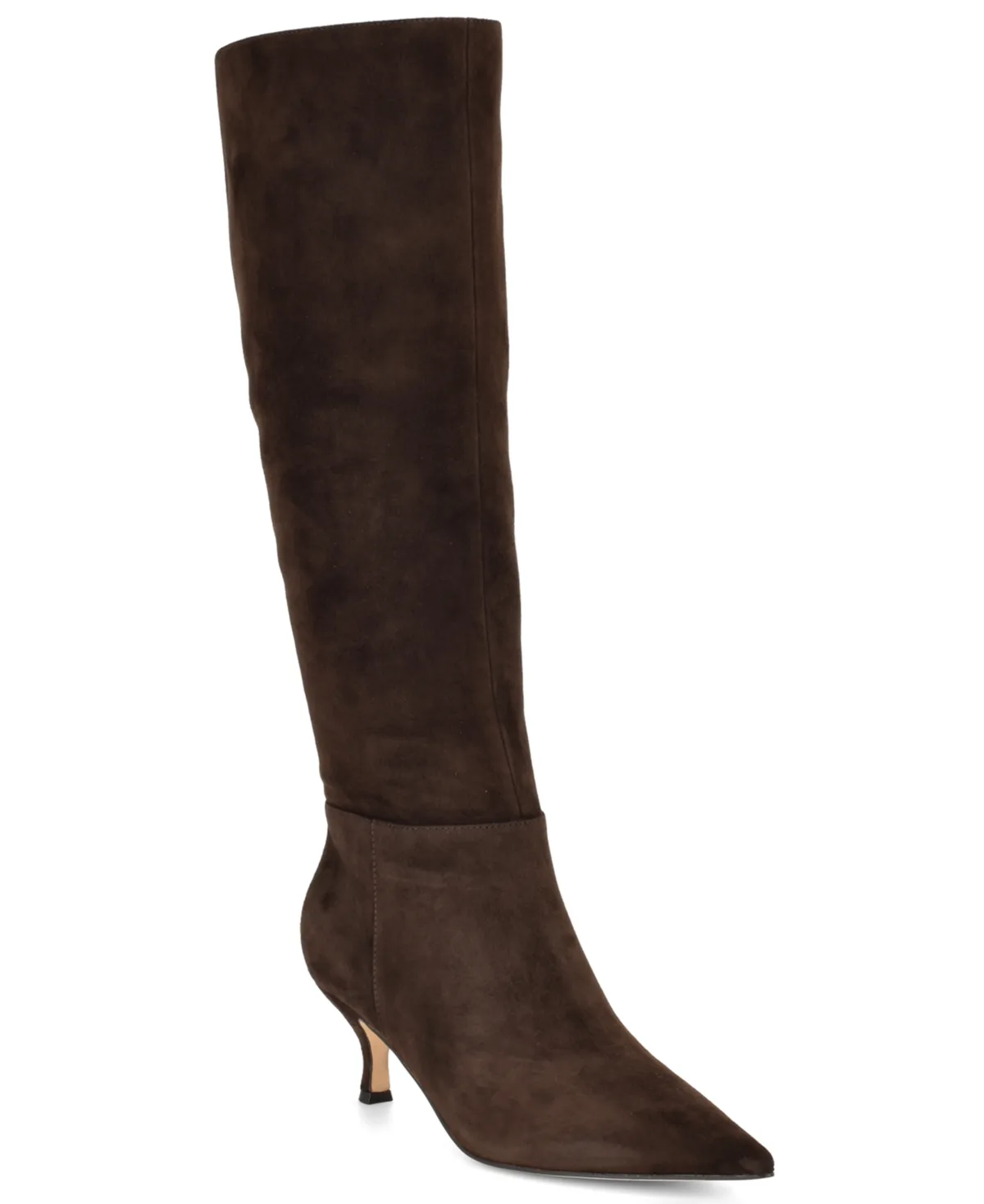 Somas Tall Kitten Heel Boots by Nine West