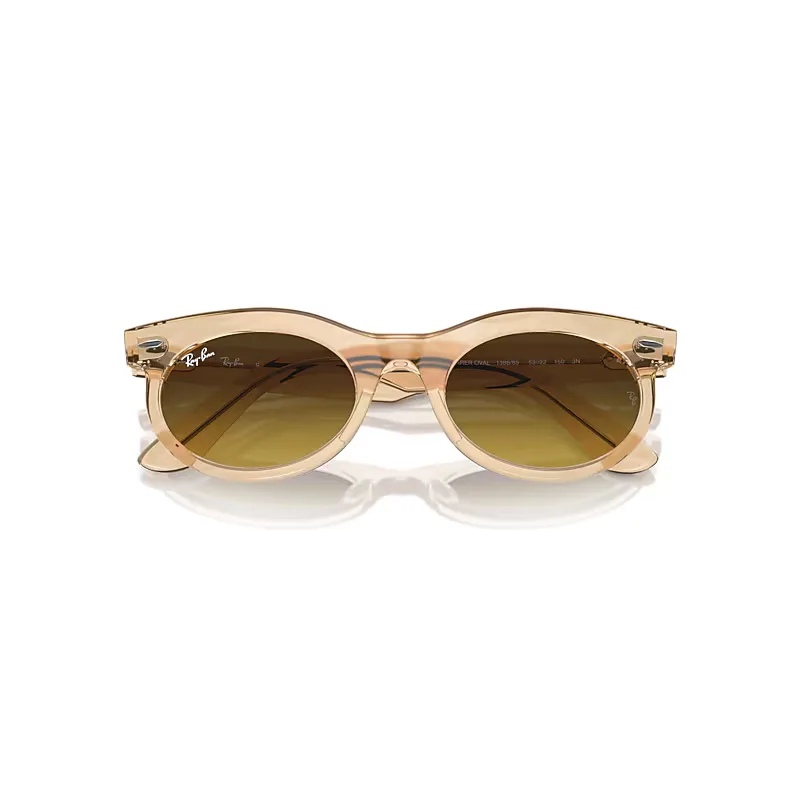 Wayfarer Oval Change Sunglasses Photo Waves Brown Frame Brown Lenses by Ray-Ban