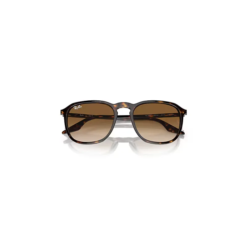 Rb2203 Sunglasses Havana Frame Brown Lenses by Ray-Ban
