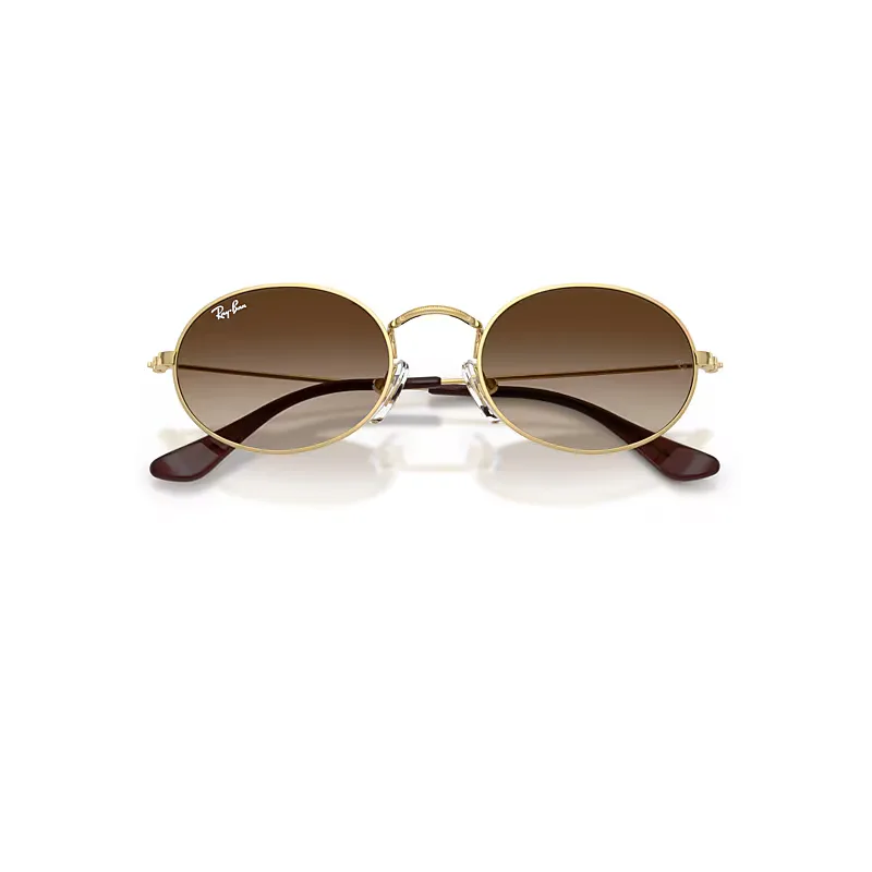 Oval Sunglasses Arista Frame Brown Lenses by Ray-Ban