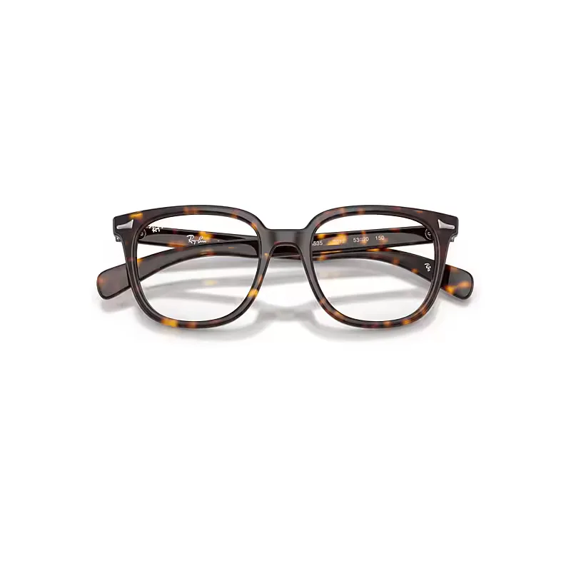Brunel II Optics Eyeglasses Havana Frame Transparent Lenses Polarized by Ray-Ban