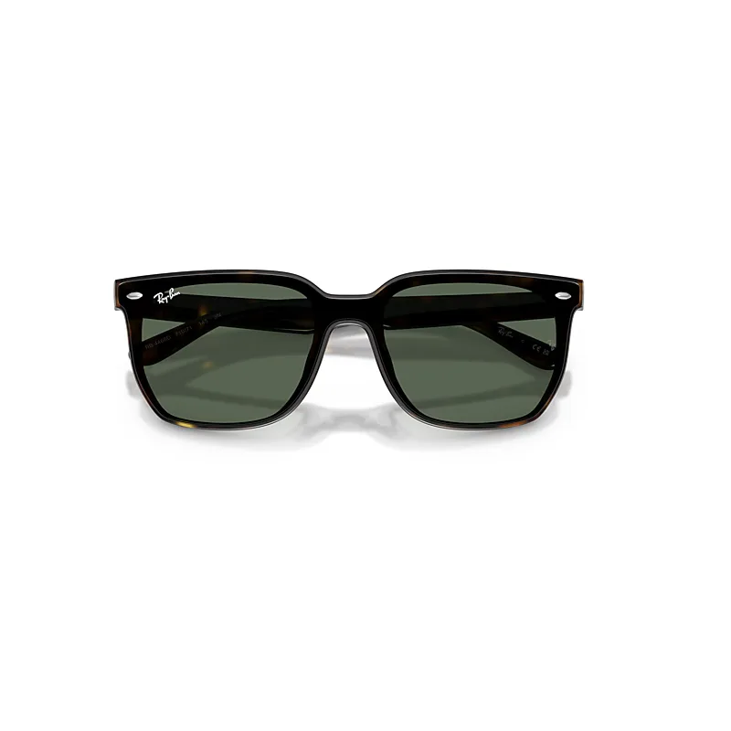 Rb4466d Sunglasses Havana Frame Green Lenses