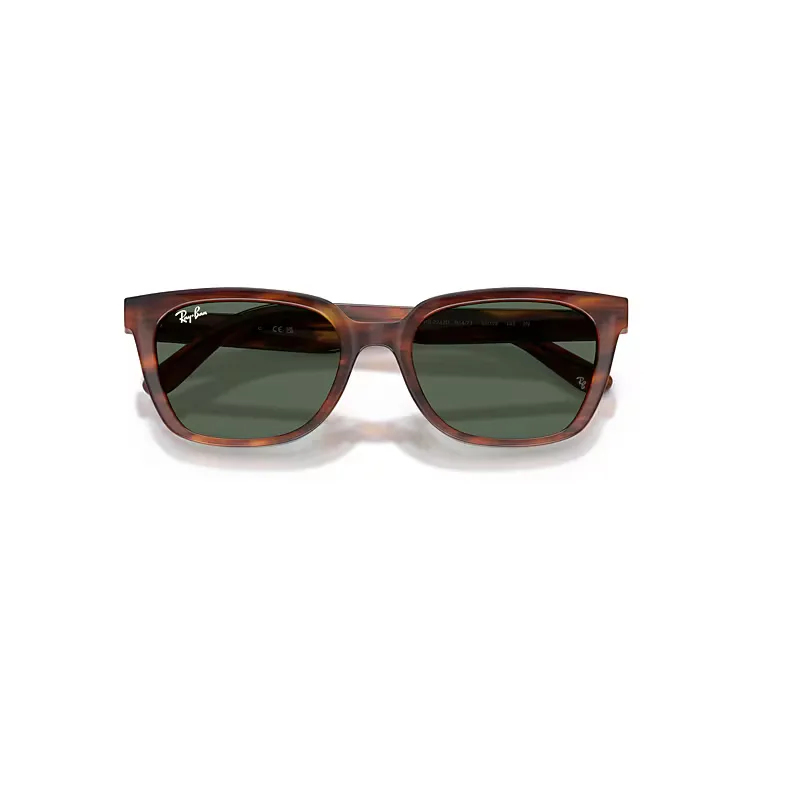 Rb2243d Sunglasses Striped Havana Frame Green Lenses by Ray-Ban