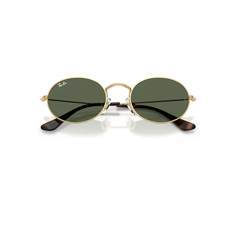 Oval Sunglasses Arista Frame Green Lenses by Ray-Ban