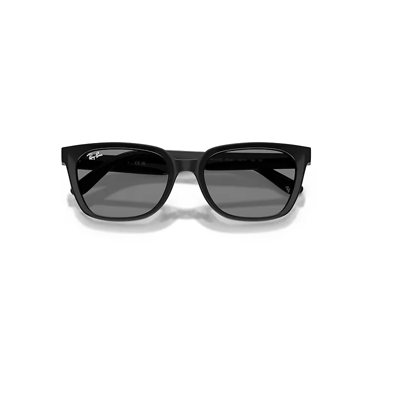 Rb2243d Sunglasses Black Frame Grey Lenses by Ray-Ban