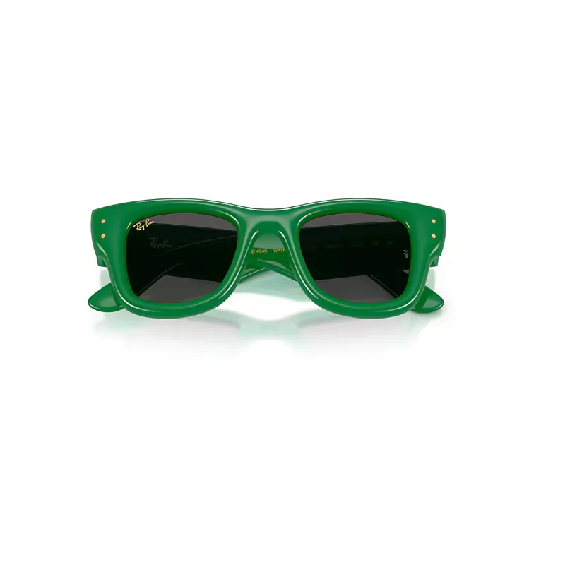Wayfarer Puffer Sunglasses Green Frame Black Lenses by Ray-Ban