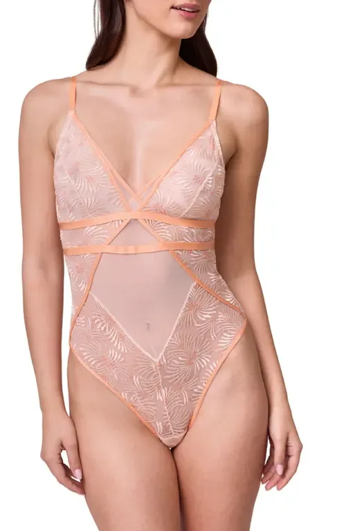 Dream Embroidered Sheer Mesh Teddy by Montelle Intimates
