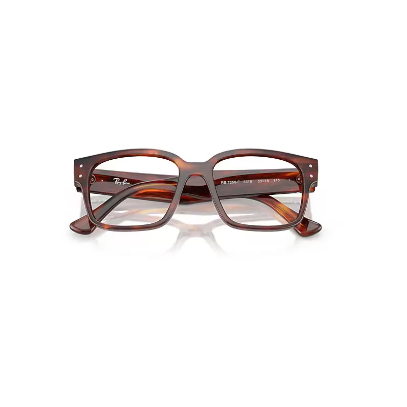 Laurene Optics Bio-Based Eyeglasses Polarized by Ray-Ban