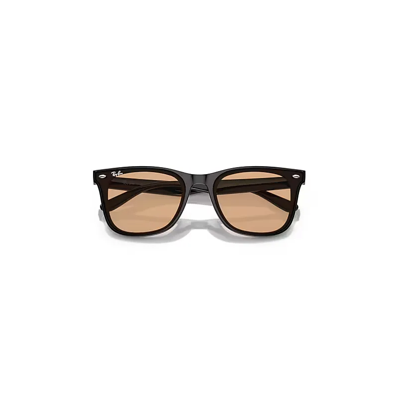 Rb4391d Sunglasses Brown Lenses by Ray-Ban
