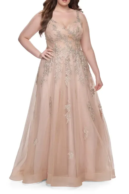 Lace Embellished Tulle A-Line Dress with Illusion Back