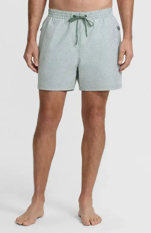 7 Inch Volley Hydroliner Swim Trunks by Lands' End