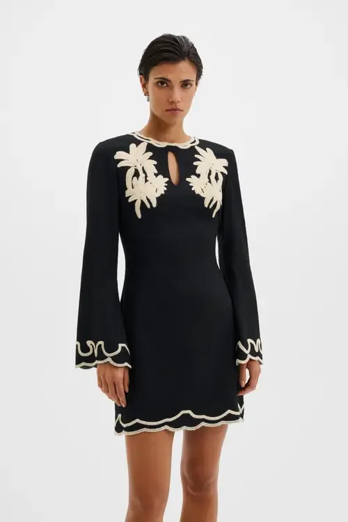 Henny Embroidered Mini Dress by Malina