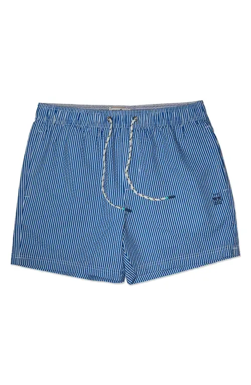 Stripe Party Starter Lined 5-Inch Swim Trunks by Party Pants