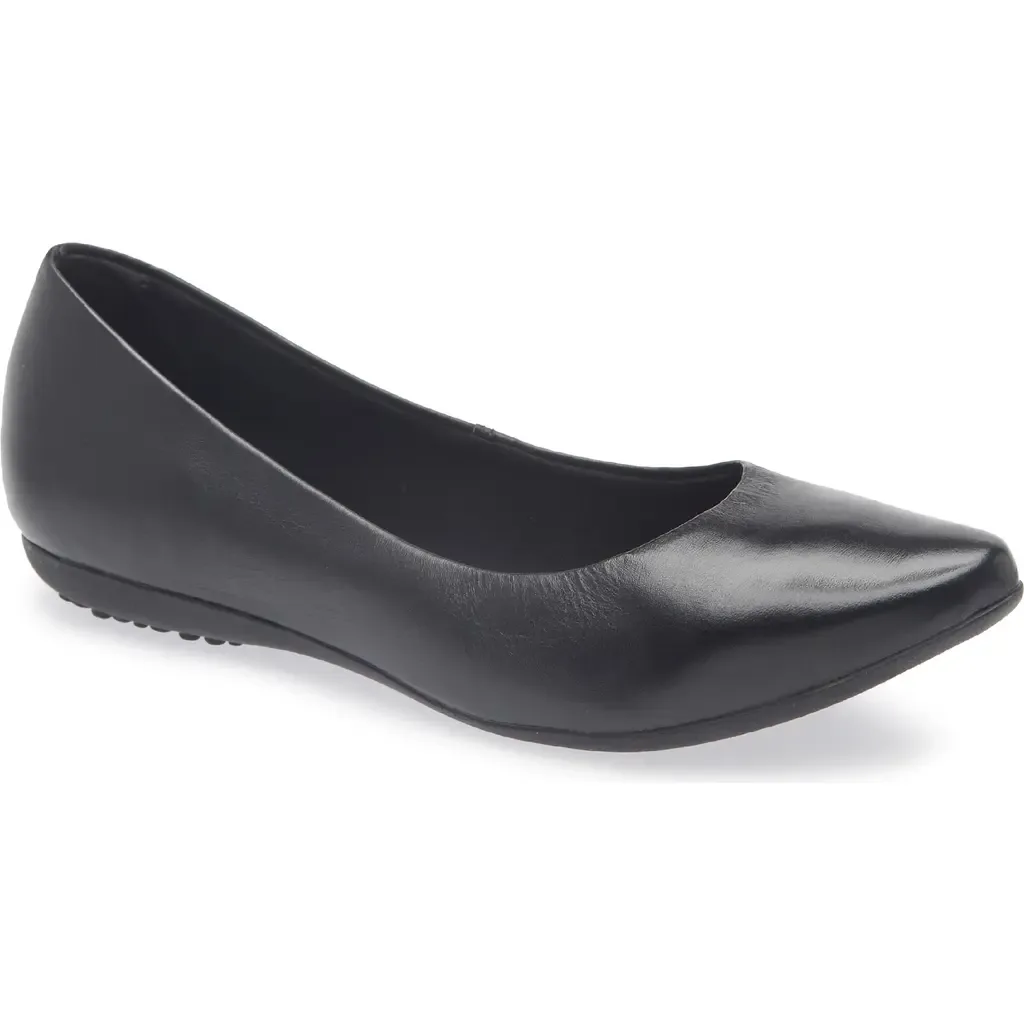 Botdogs Ballet Flat by Bottero
