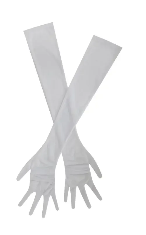 Qira Mesh Opera-Length Gloves by Miss Circle