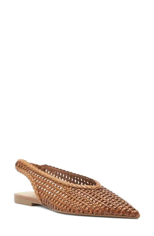 Eva Slingback Pointed Toe Flat by Arezzo