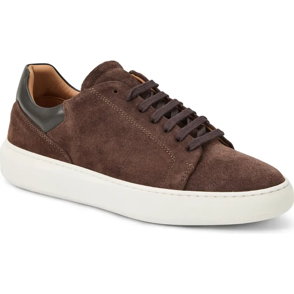 Salvatore Sneaker in Brown Suede