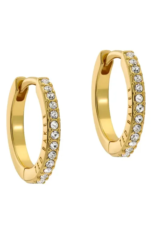 Heplie Pavé Hoop Earrings by Ted Baker