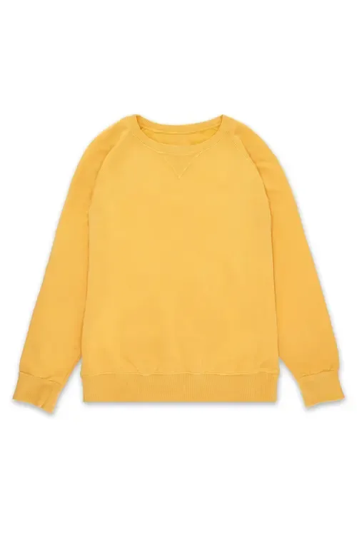 Harvard Crewneck Sweatshirt by Fortela