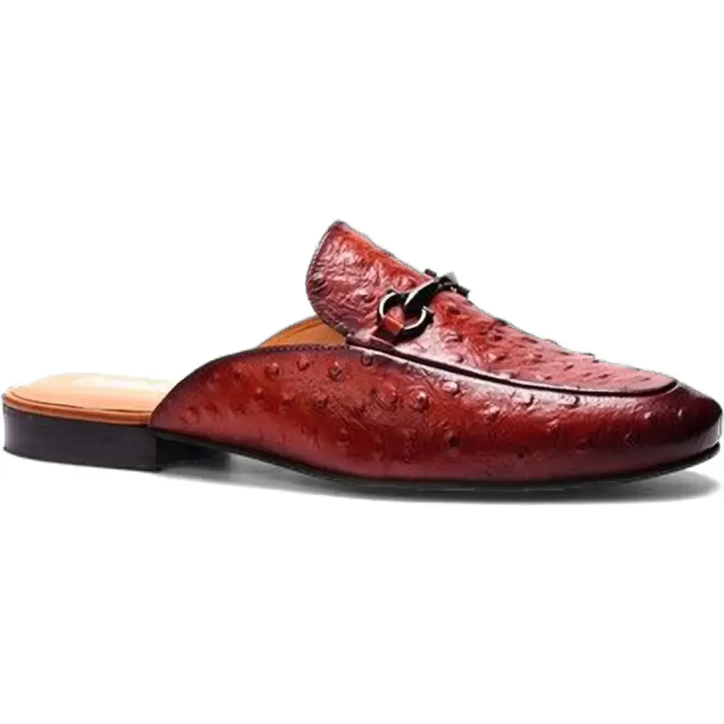 Apollo Bit Slides by CARLOS SANTANA