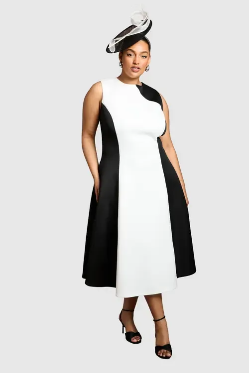 Colour Block Fit Flare Midi Dress by Coast
