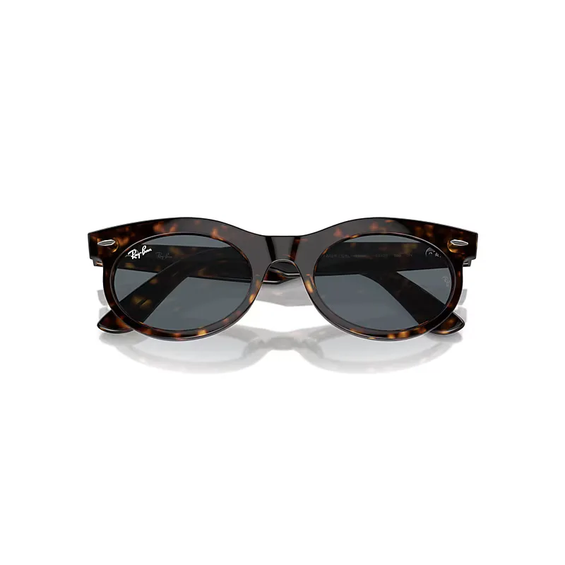 Wayfarer Oval Transitions® Sunglasses Havana Frame Brown Lenses