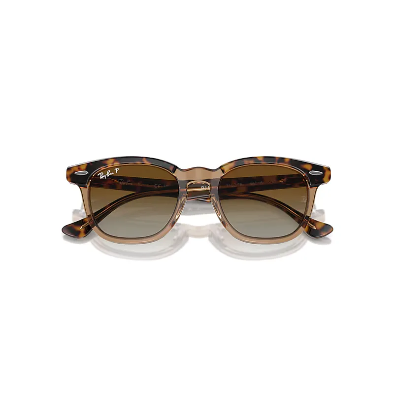 Rb9098s Sunglasses Brown Lenses Polarized by Ray-Ban