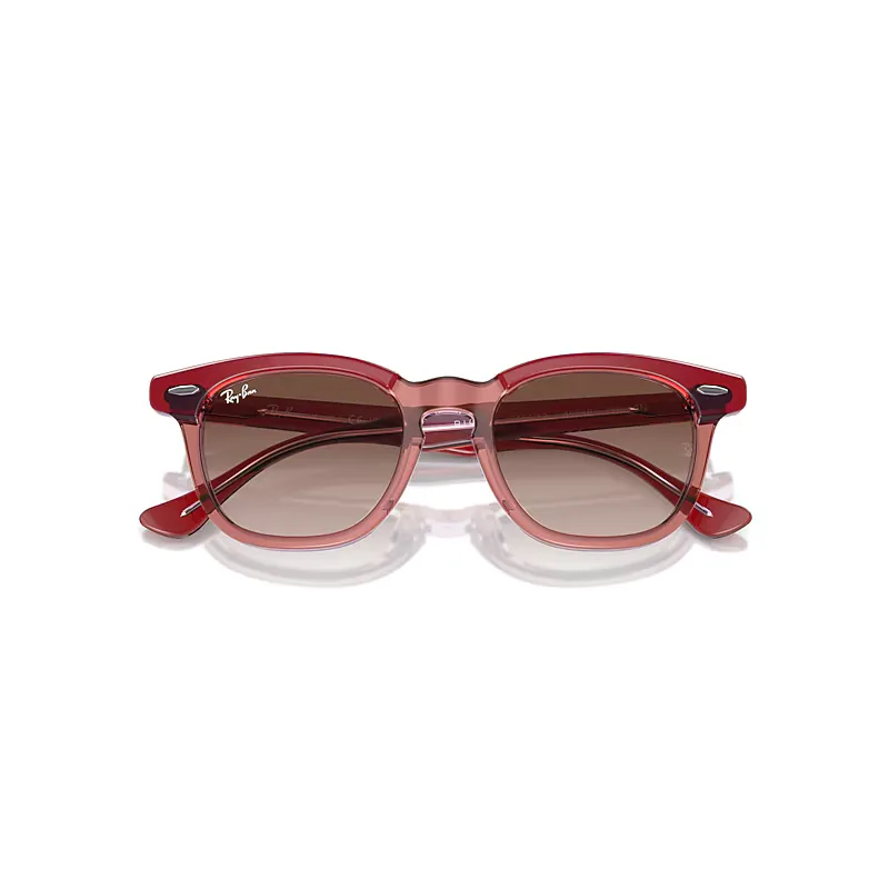 Rb9098s Sunglasses Brown Lenses by Ray-Ban