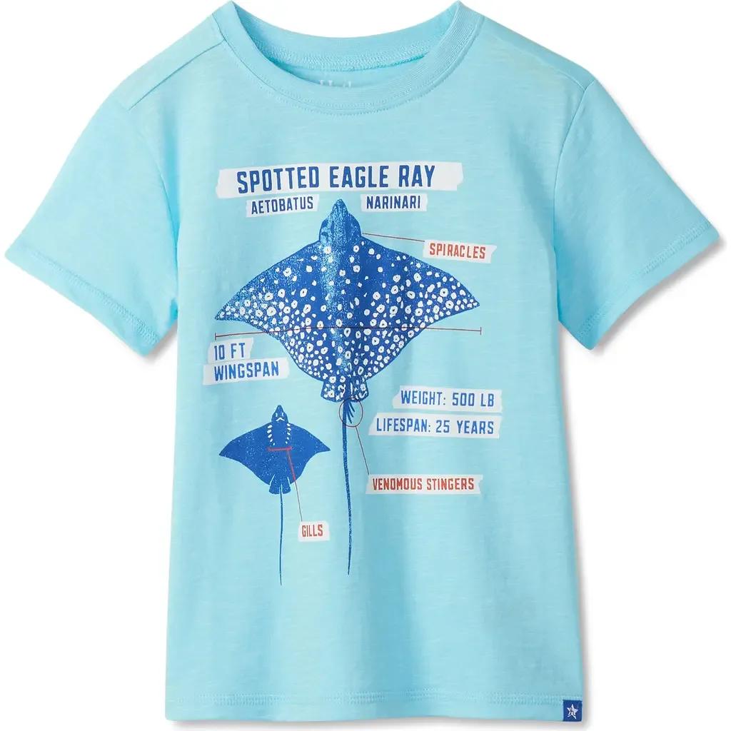 Stingray Cotton Graphic T-Shirt by Hatley