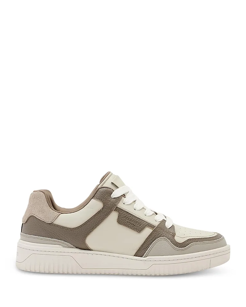 Regan Lace Up Low Top Sneakers by AllSaints