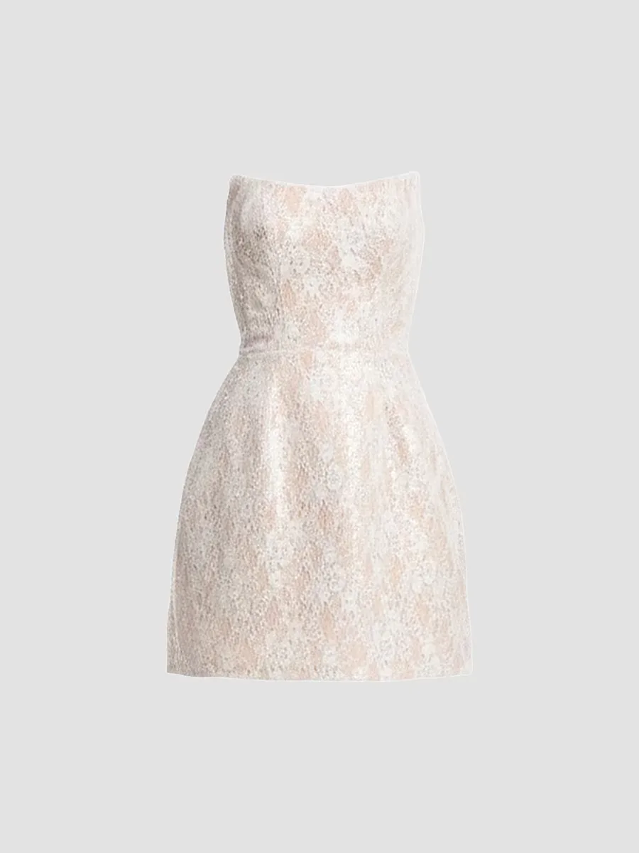 Amity Sequin & Lace Minidress