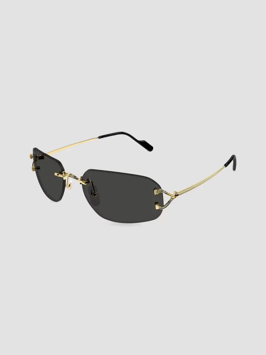 Motifs De Cartier Ct0663S Metal Rimless Rectangular Sunglasses by Cartier's