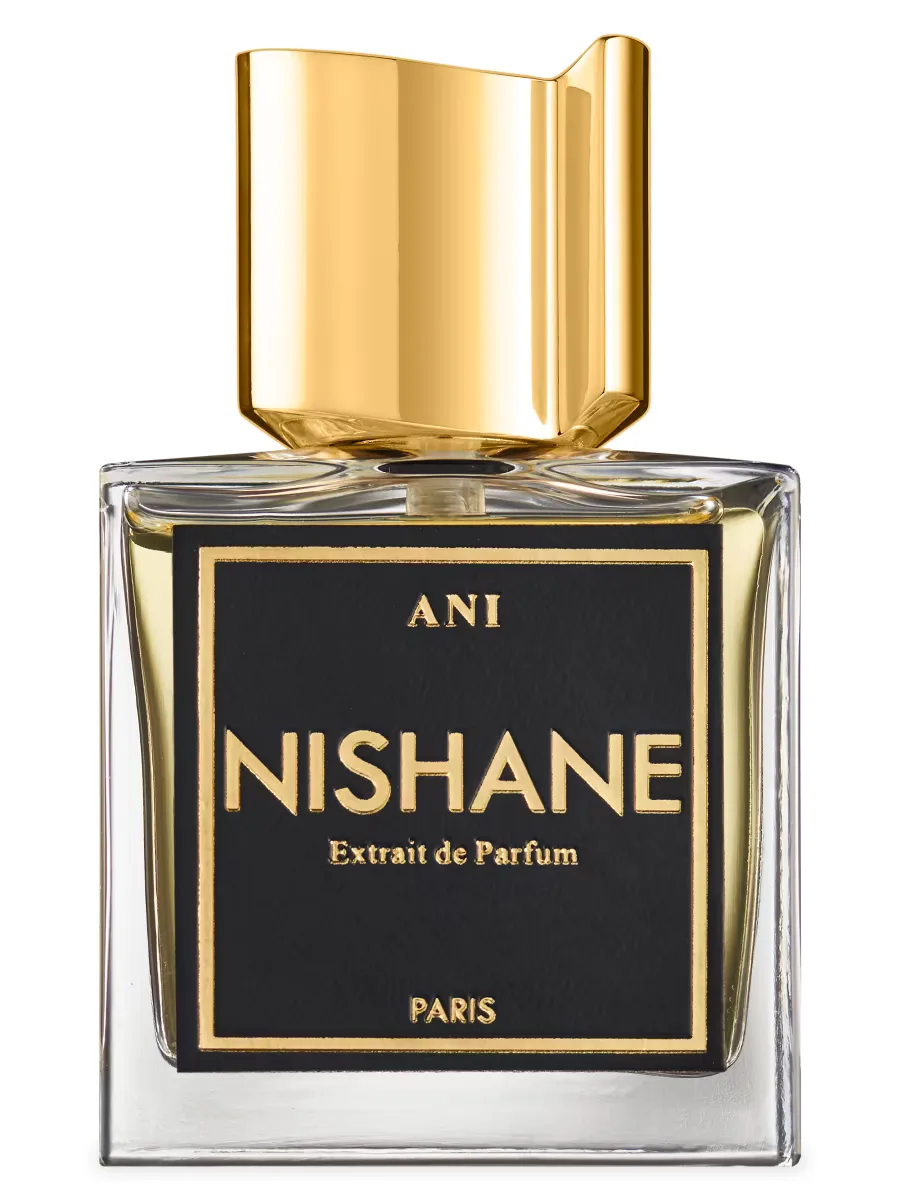 No Boundaries Ani Extrait De Parfum Spray by Nishane