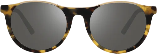 Nolita Sunglasses by Revo Lifestyle