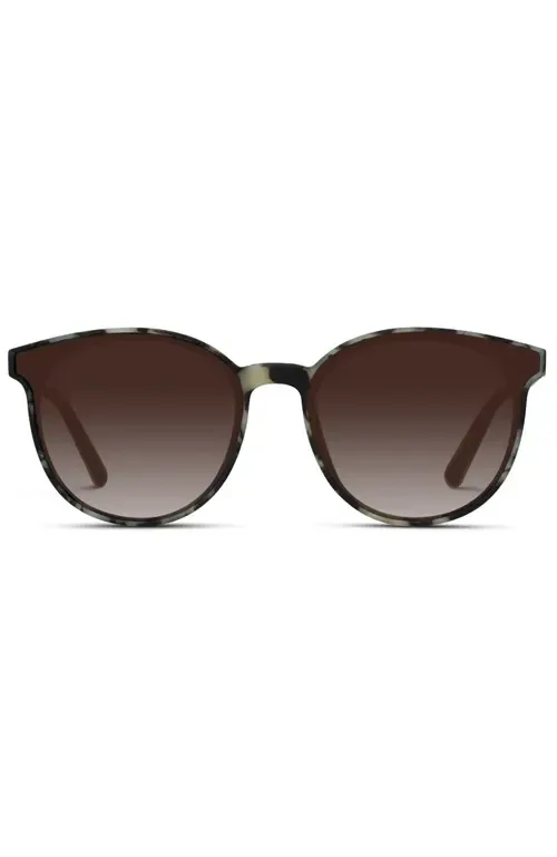 Aubrie - 53mm Rounded Cat-Eye Polarized Sunglasses by WMP Eyewear
