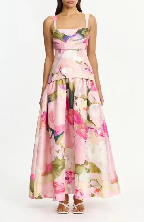 Reeve Floral Print Dupioni Gown by Acler