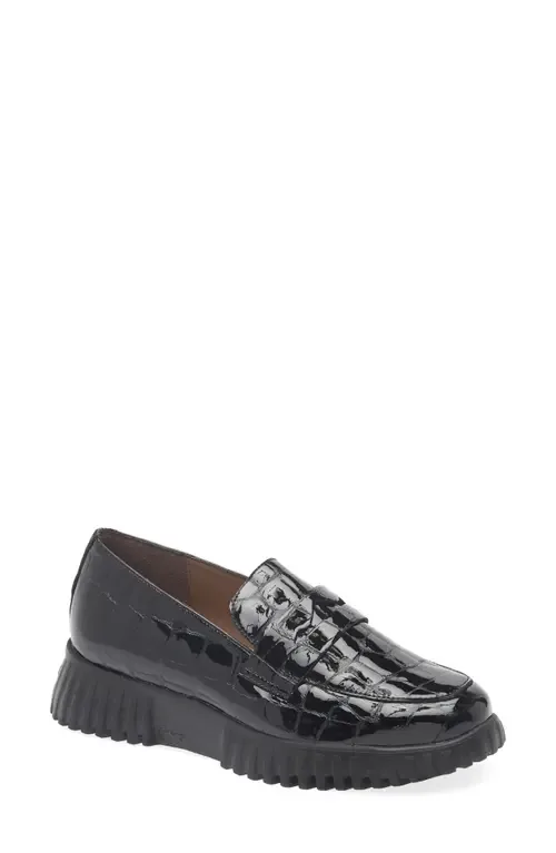 Flexfly 02 Loafer by Wonders