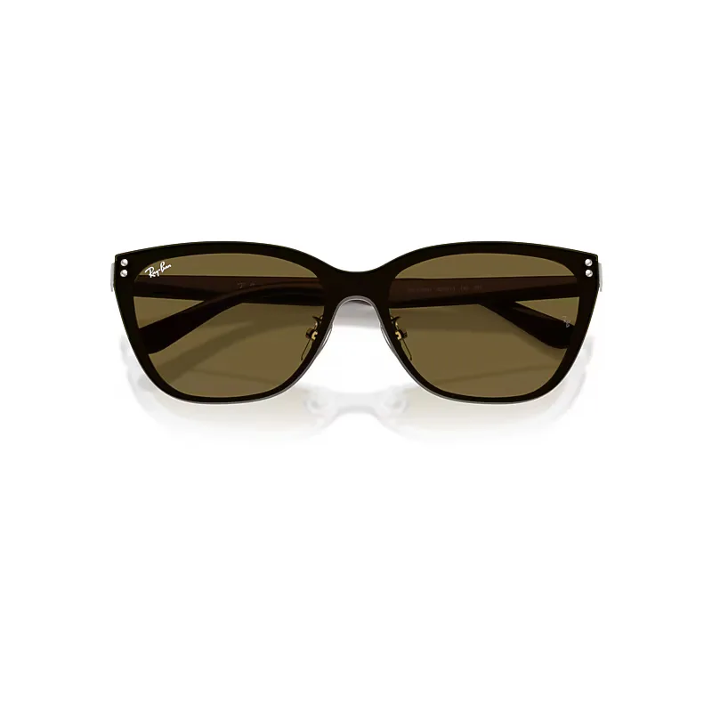 Rb3798d Sunglasses Brown Frame Brown Lenses by Ray-Ban