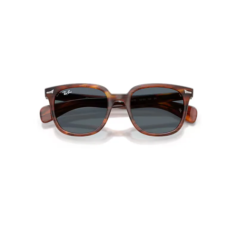 Brunel II Sunglasses Striped Havana Frame Blue Lenses