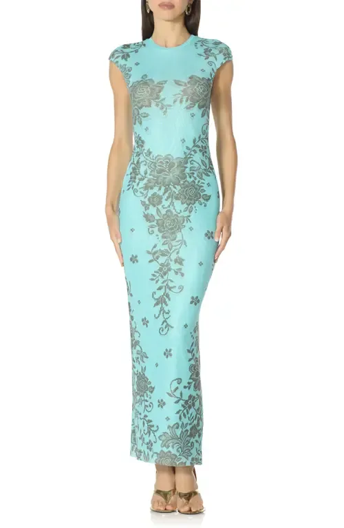 Mylo Print Mesh Maxi Dress by AFRM